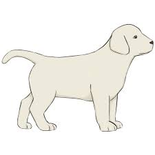 How to draw a puppy easy. How To Draw A Puppy Easy Drawing Art