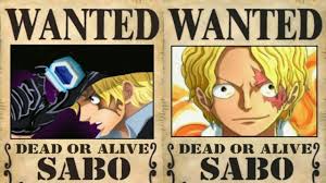 Di dunia one piece terdapat beberapa orang yang memilki kekuatan yang hebat sehingga mereka ditakuti dan disegani oleh banyak orang. Edit Poster Buronan One Piece