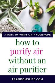 Here are 4 ways to naturally purify your home that you can begin immediately: How To Purify Air Without An Air Purifier Purify Air Air Purifier Diy Air Purifier