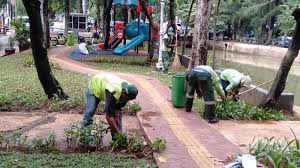 Surat lamaran kerja ditujukan ke kepala dinas kesehatan kota balikpapan Sudin Pertamanan Dan Kehutanan Jakarta Pusat Perbaiki Taman Rusak Akibat Banjir Warta Kota