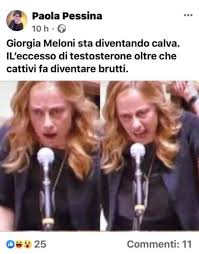 Giorgia meloni, il dramma che non aveva mai confessato: Giorgia Meloni Mi Dicono Che Questa Signora Sarebbe Vicepresidente Di Un Organizzazione Filantropica Ex Sindaco Di Sinistra Di Rho E Docente Non Mi Interessano Gli Insulti Sul Piano Fisico Anche Perche Quando