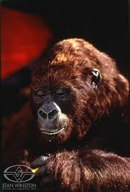 Congo is a splendid example of a genre no longer much in fashion, the jungle adventure story. Congo Behind The Scenes Creating Animatronic Gorilla Suits At Stan Winston Studio Stan Winston School Of Character Arts