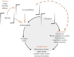 John ioannidis discusses the results of his preliminary studies, including his latest, which shows a drastically reduced infection fatality rate of. Obesity And The Increased Risk For Covid 19 Mechanisms And Nutritional Management Nutrition Research Reviews Cambridge Core