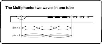 For The Contemporary Flutist Online Multiphonics