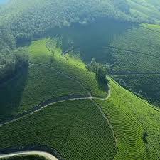Munnar Kerala