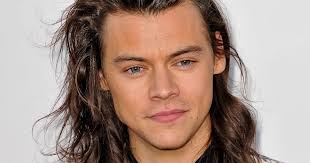 This combination between two different haircuts makes for an interesting look. Harry Styles S Momentous Haircut Finally Revealed To Swooning Public