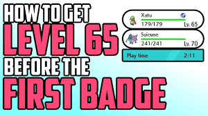 How to get a LEVEL 65 Pokemon BEFORE the First Badge! - Pokemon Sword &  Shield - YouTube