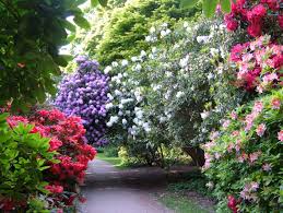 Sheringham Park National Trust Garden Ideas Uk Gorgeous Gardens Gardens Of The World