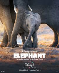 Nonton film streaming movie bioskop cinema 21 box office subtitle indonesia gratis online download. Elephant 2020 Imdb