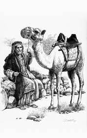 380x429 free drawing of camel from the category wild animals. Pin On My Other Works