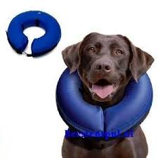 images?q=tbn%3AANd9GcS4TcZrkQulIBcpY3z9N