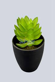 Artificial Plants Table Tree 14cm Aloe W Black Pot Lt Green In 2020 Artificial Plants Plant Table Plants