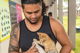 17,685 likes · 384 talking about this · 151 were here. Hawaiian Humane Society Hawaii Magazine