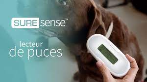 La puce électronique contient un petit émetteur radio qui transmet un code d'identification. Le Lecteur Suresense Youtube