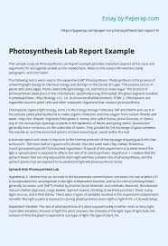 Photosynthesis Lab Report Example Essay Example