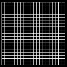 amsler grid