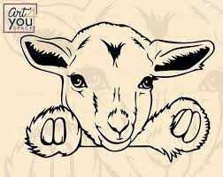Pygmy Goat Kid Svg Files For Cricut Pet Svg Cute Animal Clipart Farm Peeking Download Head Face Vector Printable Art Png Dxf Cute Animal Clipart Goat Paintings Animal Clipart