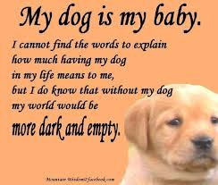 I Love My Dog Quotes Pinterest - i love my dog my life would be so ... via Relatably.com