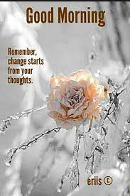 Good Morning Beautiful Morning Good Morning Greetings Good Morning Quotes