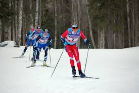 Image result for on the move skis