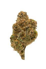 Orangeade Strain Fresh Baked Boulder Dispensary