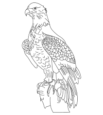 Cute baby griffin coloring pages. 20 Cute Eagle Coloring Pages For Your Little Ones