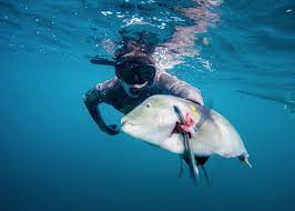 Gobukuri spearfishing highlights of 2020. Spearfishing Killing Transcendental Journeys