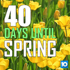 We did not find results for: 10tv Wbns 40 Days Until Spring Facebook