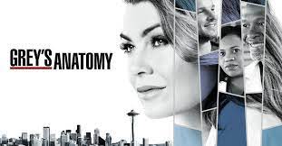 Watch The Official Grey S Anatomy Online At Abc Com Get Exclusive Videos Blogs Photos Cast Bios Greys Anatomy Season Greys Anatomy Grey S Anatomy Season 14
