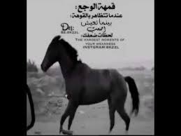 ستوريات انستا حزينة بدون حقوق اجمل موسيقي حزينة موثر تصميم مقاطع انستقرام ستوريات انستا حزينة اجنبي Youtube In 2020 In This Moment Horses Animals