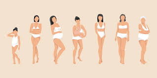 Image result for Body Composition Changes with Aging