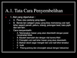 Abu syujak berkata demikian ulasan tentang waktu penyembelihan hewan qurban : Tata Cara Penyembelihan Hewan Ternak Akikah Dan Kurban Ppt Download