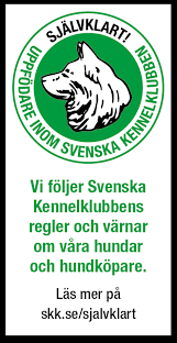 Välkommen till svenska kennelklubbens frågeforum! Webbanner For Uppfodare Svenska Kennelklubben