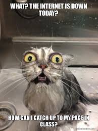 The world may never know. What The Internet Is Down Today How Can I Catch Up To My Pace In Class Cat Bath Make A Meme