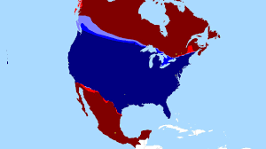 1 day ago · the united states and qatar will get thursday's 2021 gold cup action started with a semifinal match, and the other half of the final pairing will be decided later on at the end of the mexico vs. Usa Vs Mexico Canada Youtube