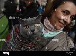 Priest with pet cat hi-res stock photography and images