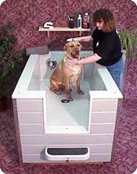 Pin By Elizabeth Cleary On Dog Room Ideas Dog Wash Dog Bath Dog Bath Tub