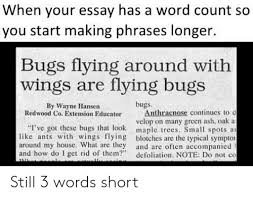 Print out a copy of your essay and sit down with a highlighter. When Your Essay Has A Word Count So You Start Making Phrases Longer Bugs Flying Around With Wings Are Flying Bugs By Wayne Hansen Bugs Asion Educatoranthracnose Continues To D Velop On