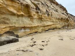 Image result for Beige 1980 Western Waste