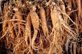 Image result for Ginseng