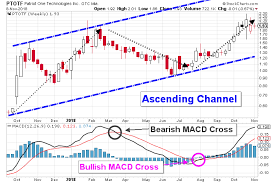 This Is Why Patriot One Stock Is All Set For Higher Prices