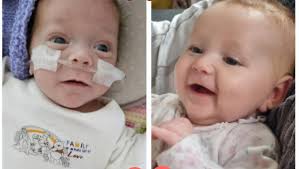 Fundraiser for Lillie Pearson by Stevie Funnell : Zada-Irie and Zabella-Lou