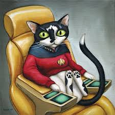 Star Trek Cat Cat Art Cats And Kittens Animal Art