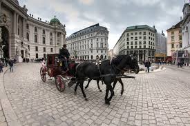 In the background some pedestrians. Experience Vienna In A Horse Drawn Carriage Vienna4u At