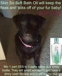 It S Tick And Flea Season Here S An Easy And Inexpensive Way To Keep Them Off Your Animals And It Smells Good Too Www Be Avon Skin So Soft Skin So Soft Avon