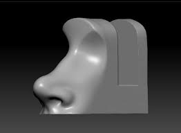 Nose 2 3d Print Model Print Models Print 3d Printing