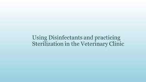 Using Disinfectants And Practicing Sterilization In The