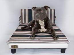 5 brandine per cani di taglia grande. Le Migliori Brandine Per Cani Classifica E Recensioni Di Luglio 2021