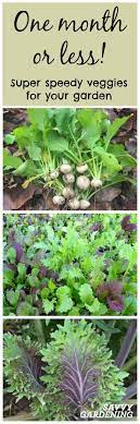 Most leafy lettuces, especially romaine, can grow to the harvesting stage in about 30 days. Plant Fast Growing Vegetables For A Homegrown Harvest In 6 Weeks Or Less