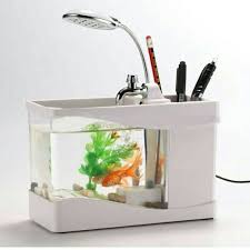 Aquarium unik meja tamu desain id. Aquarium Unik Bentuk Mini Tinggal Colok Usb Harga Jual Com